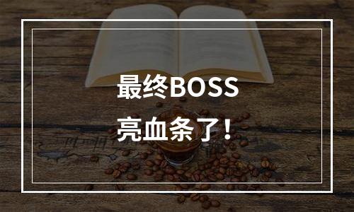 最终BOSS亮血条了！