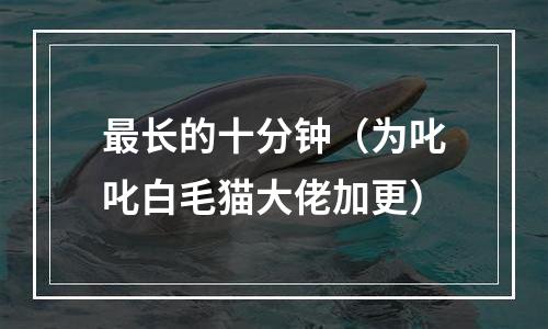 最长的十分钟（为叱叱白毛猫大佬加更）