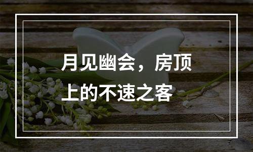 月见幽会，房顶上的不速之客