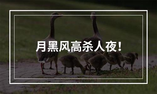 月黑风高杀人夜！