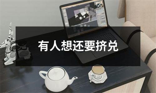 有人想还要挤兑