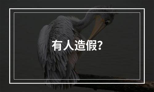 有人造假？