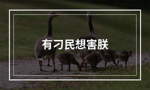 有刁民想害朕