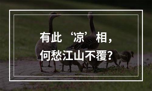 有此‘凉’相，何愁江山不覆？