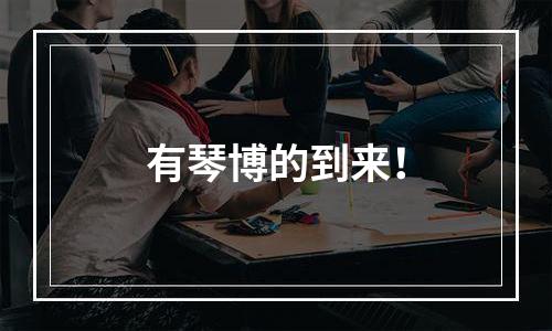 有琴博的到来！
