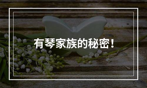 有琴家族的秘密！