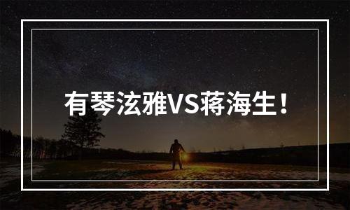 有琴泫雅VS蒋海生！
