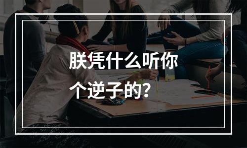 朕凭什么听你个逆子的？