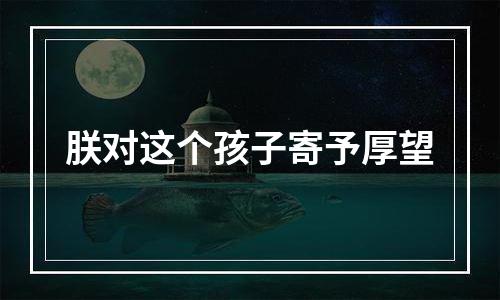 朕对这个孩子寄予厚望
