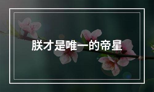 朕才是唯一的帝星
