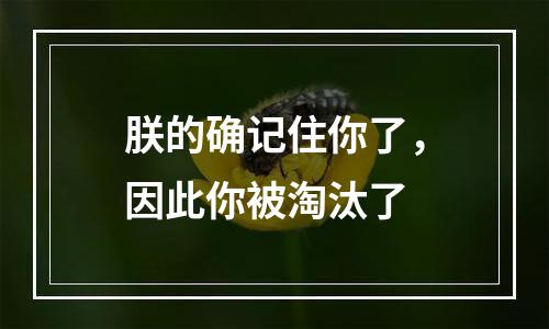 朕的确记住你了，因此你被淘汰了