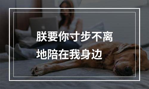 朕要你寸步不离地陪在我身边