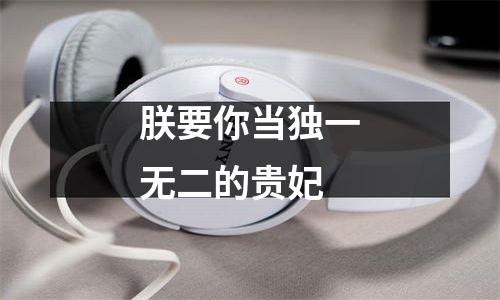 朕要你当独一无二的贵妃