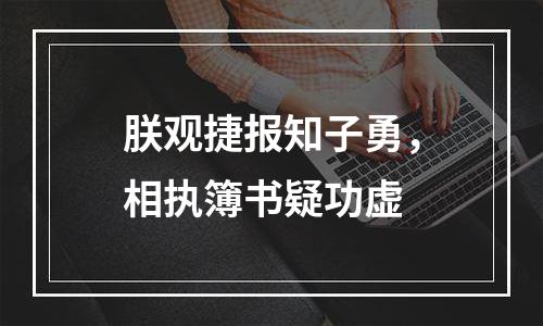 朕观捷报知子勇，相执簿书疑功虚