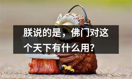 朕说的是，佛门对这个天下有什么用？