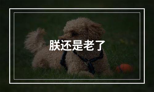 朕还是老了