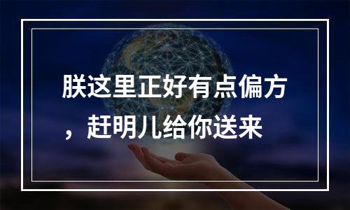 朕这里正好有点偏方，赶明儿给你送来