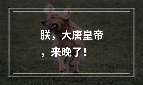 朕，大唐皇帝，来晚了！