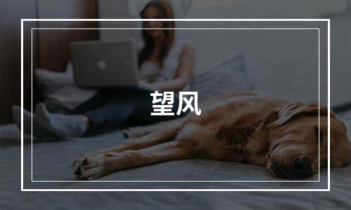 望风