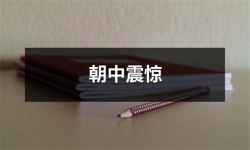 朝中震惊