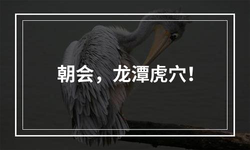 朝会，龙潭虎穴！