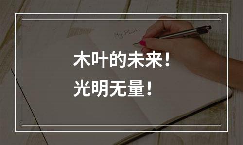木叶的未来！光明无量！