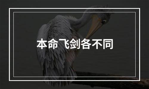 本命飞剑各不同