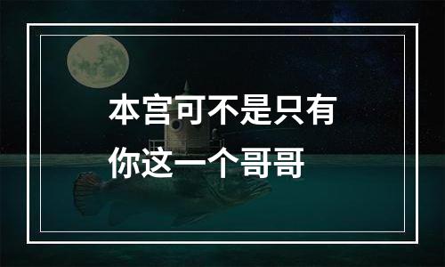 本宫可不是只有你这一个哥哥