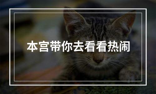本宫带你去看看热闹