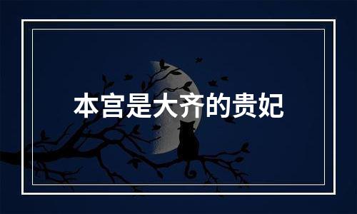 本宫是大齐的贵妃