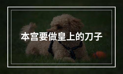 本宫要做皇上的刀子