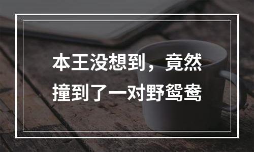 本王没想到，竟然撞到了一对野鸳鸯