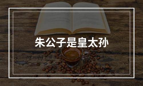 朱公子是皇太孙