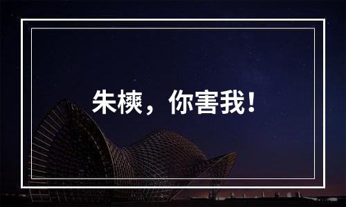 朱樉，你害我！