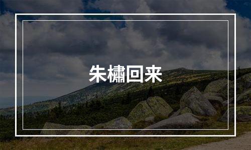 朱橚回来