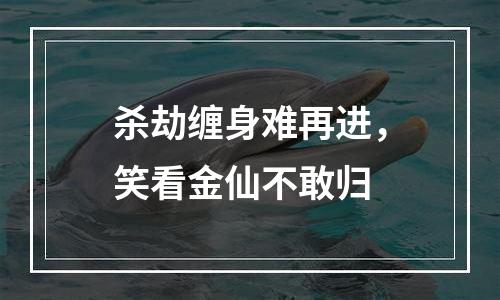 杀劫缠身难再进，笑看金仙不敢归
