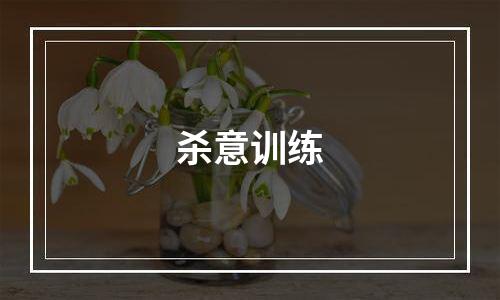 杀意训练