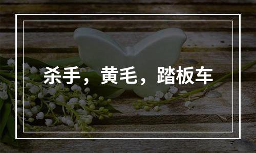 杀手，黄毛，踏板车