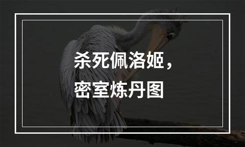 杀死佩洛姬，密室炼丹图