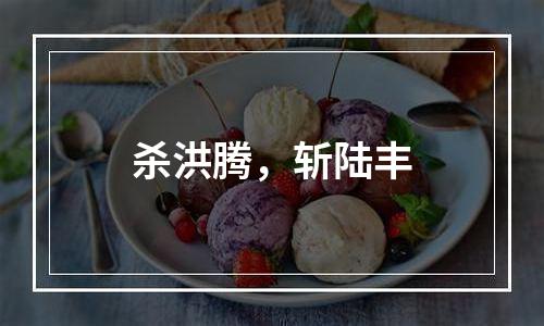 杀洪腾，斩陆丰