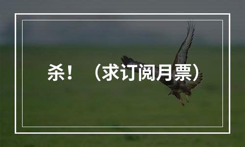 杀！（求订阅月票）