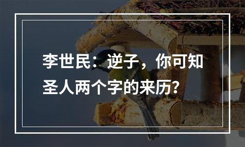 李世民：逆子，你可知圣人两个字的来历？
