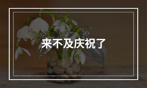 来不及庆祝了