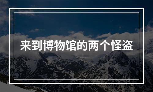 来到博物馆的两个怪盗