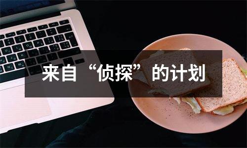 来自“侦探”的计划