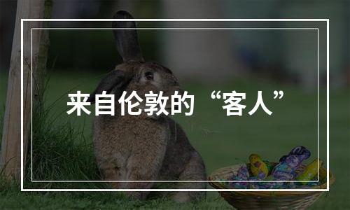 来自伦敦的“客人”