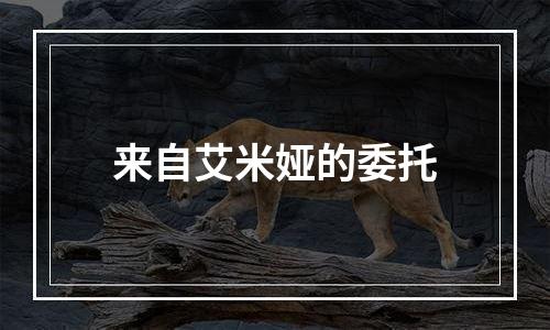 来自艾米娅的委托