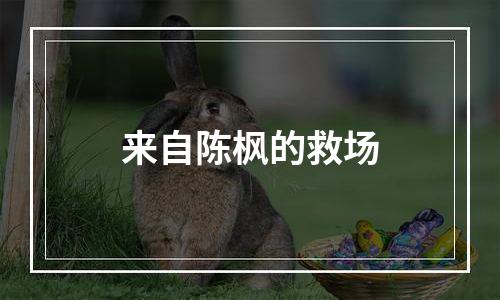来自陈枫的救场