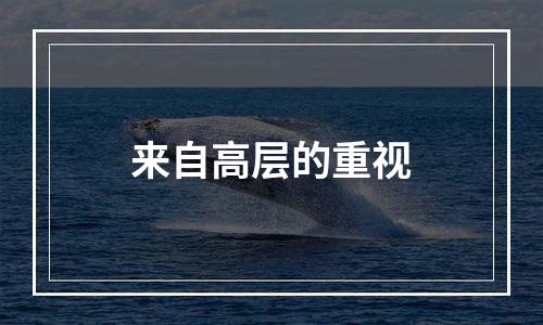 来自高层的重视