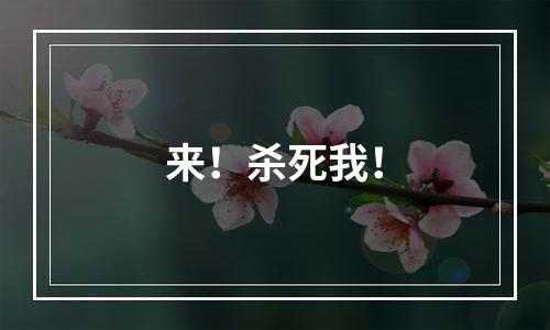 来！杀死我！